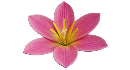 Fototapeta premium A vibrant pink lily flower with a bright yellow center blooming in full glory isolated on transparent background
