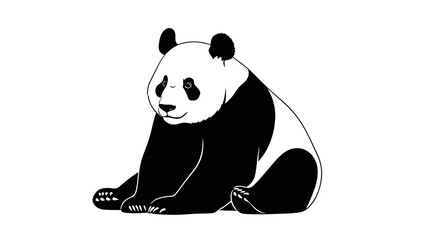 Sitting panda bear black and white illustration on white background © munha