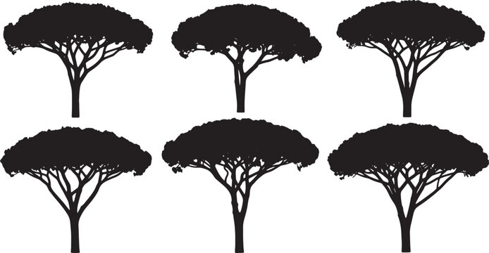 Black Solid Italian Stone Pine Tree Silhouettes Set of Six on White Background