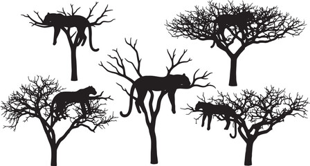 Black Solid Leopard Tree Silhouettes Set of Six on White Background © Lubna