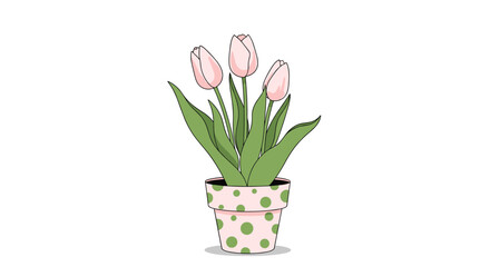Obraz premium Three beautiful pink tulips with green leaves planted in a pink and green polka dot ceramic pot against a plain white background.