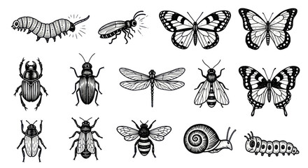 Vintage Insect Collection: Butterflies, Beetles, Bees, Caterpillar, Dragonfly, Snail © Lilis