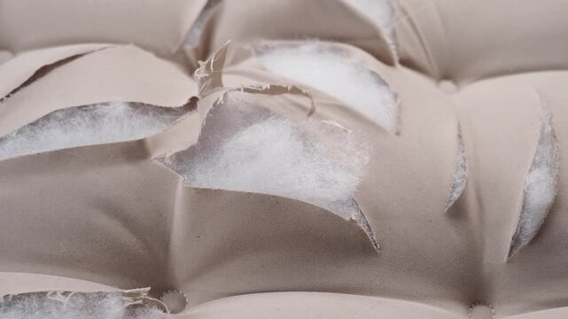 Sofa cushion shows wear and tear with stuffing exposed