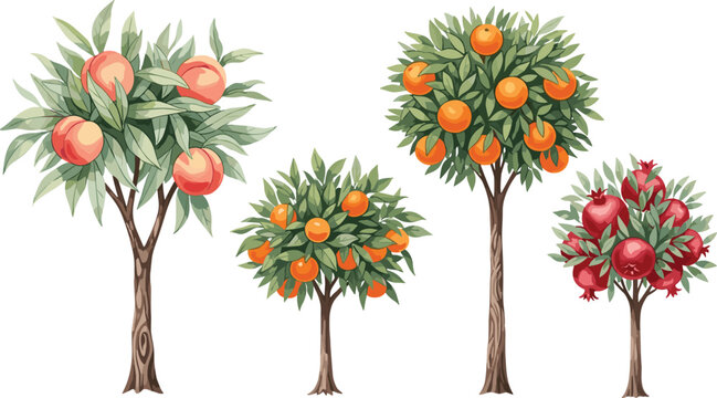 Fruit Tree Illustration Collection with Peach Orange and Pomegranate Trees Full of Ripe Fruits Lush Leaves Branches for Harvest Nature Organic Garden and Food Designs