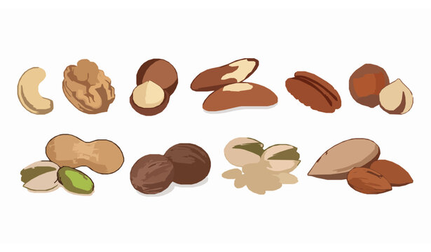 Hand drawn assorted nuts vector illustration set with almond peanut walnut pistachio pecan hazelnut and cashew isolated on white