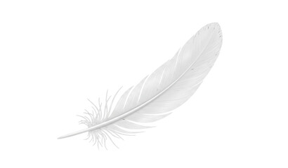 A delicate white feather on a plain background