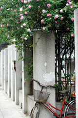 A peaceful street with blooming roses and parked bicycles