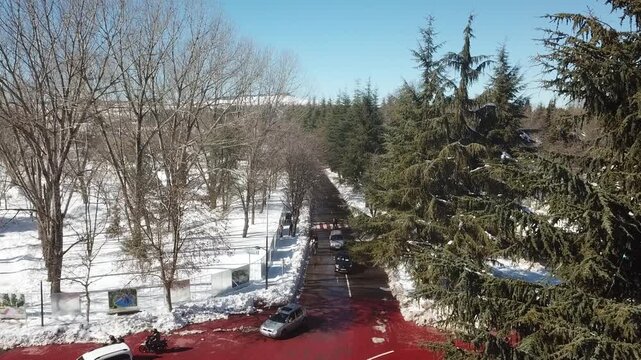 Aerial view of a snowy street lined with pine trees and cars in Ifrane city in the Middle Atlas Mountains of Morocco during winter season.
