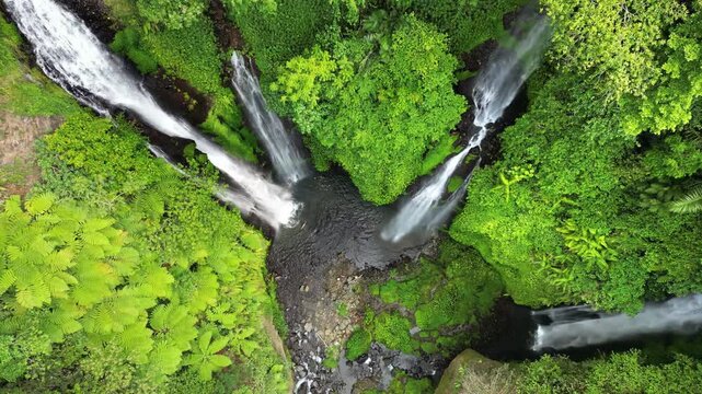 Aerial drone view of multiple cascades at Sekumpul Waterfall in North Bali, Indonesia. Tall white streams flow down steep rainforest cliffs covered in vibrant green vegetation