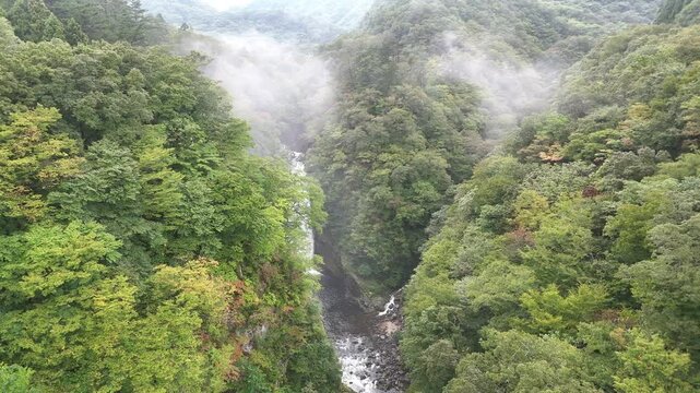 Vast Forest Valley & Akiu Waterfall | Foggy - 4K Aerial Video

