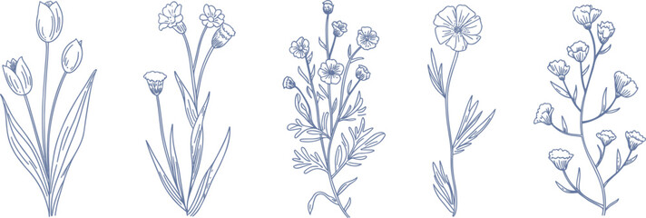 Fototapeta premium Hand drawn wild flower collection, floral line art set, botanical spring blossoms, minimalist garden vector illustration