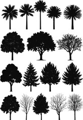 Fototapeta premium WebCollection of leafy tree silhouettes with dense foliage crowns, decorative botanical forest elements isolated on white background, natural woodland plant vector set