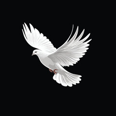 Fototapeta premium A flying white dove against a pure black background , vector style simple color