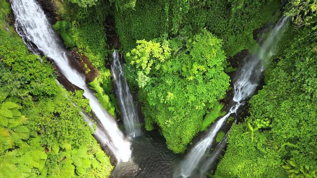 Aerial drone view of multiple cascades at Sekumpul Waterfall in North Bali, Indonesia. Tall white streams flow down steep rainforest cliffs covered in vibrant green vegetation