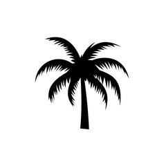 Fototapeta premium Silhouette of coconut trees on the island
