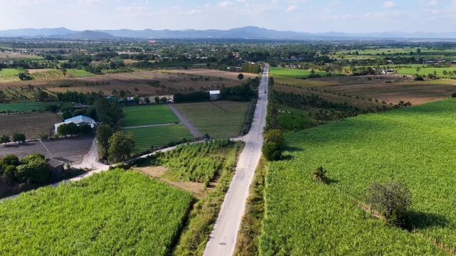 Aerial View of Rural Road Through Agricultural Land in Khao Yai