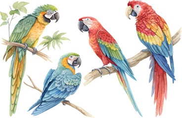 set of Hand-Painted Parrot Watercolor, Exotic Tropical Bird Art, Isolated Vector Clipart © Tanvir Rana