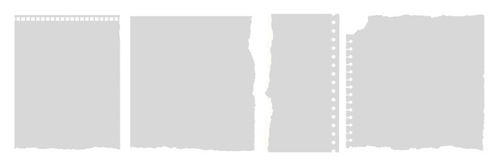 Torn notebook paper collection vector element