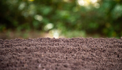 Fototapeta premium Humus and earth ground. Farming concept with soil and farm ground. Agricultural field cultivated land. Soil for planting and farming.