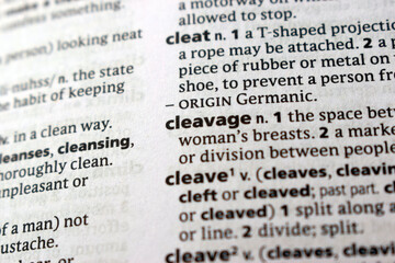 Fototapeta premium English Dictionary Page Close Up With The Word Definition Of - cleavege