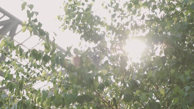 청량리역 풍경