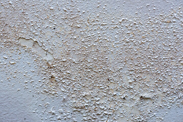 Obraz premium The paint on the house walls is peeling due to moisture. Close-up of peeling paint on an interior wall caused by moisture and humidity damage. Water-damaged wall surface with cracked and peeling pain