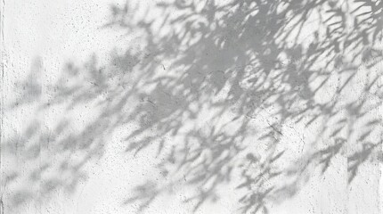 Fototapeta premium Natural Shadow Overlay on Rough White Wall Surface