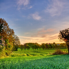 Fototapeta premium Countryside, landscape and field of grass in nature for environment, spring season and ecology. Sustainability, space and growth with meadow and blue sky outdoor for eco friendly and plantation