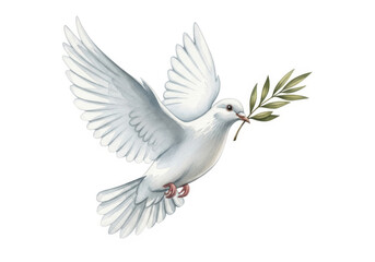Obraz premium White dove flying with olive branch symbolizing peace and hope