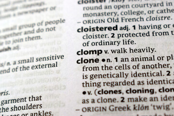 Detail Of English Dictionary Page And Word Pronunciation Of - clomp