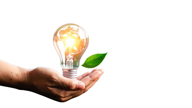 Creative light bulb set with icons for night mode learning inspiration and environmental leaf symbol for energy saving and sustainable green concept