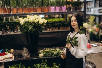 Fototapeta premium Female florist preparing fresh white roses in flower shop
