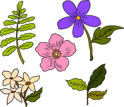 A cute collection of flat vector flowers and leafy plants in soft pastel colors.This botanical element set features simple floral shapes and green foliage, perfect for creating pattern.