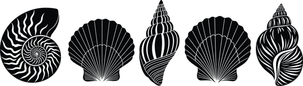Detailed Sea Shell Silhouette Set Featuring Scallop Nautilus And Snail Shells For Summer Beach Decoration Nautical Marine Life Travel And Coastal Ocean Inspired Graphic Design