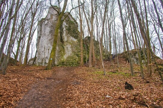 Skałki w Rezerwacie przyrody G&oacute;ra Stołowa im. Ryszarda Malika
