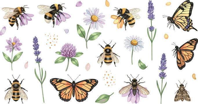 Hand drawn bees butterflies and wildflowers collection with lavender daisy clover botanical elements isolated decorative nature vector illustration set