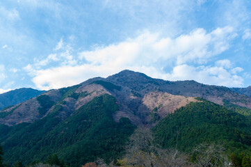 Obraz premium 日本の山