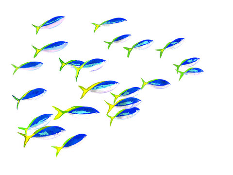 School of  yellow and blueback fusilier illustration