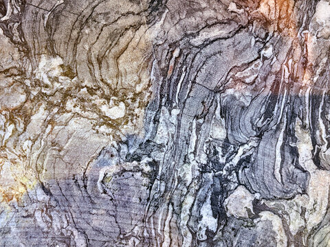 stromatolites fossilized ancient cyanobacteria close-up. paleobotanical findings and research. ancient marine life. beautiful ancient textures