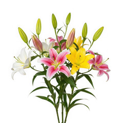 Fototapeta premium A vibrant bouquet of lilies featuring white, yellow, and orange flowers isolated on white background