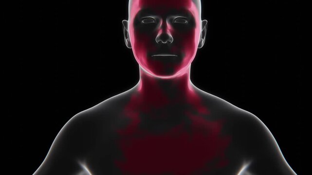 Vancomycin effected parts on body in 4K Xray Video | Vancomycin Indication in 4K Xray Video | Vancomycin