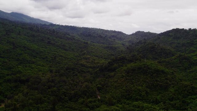 Forward moving view of very dense tropical forest foliage covering mountainous landscape during overcast weather.