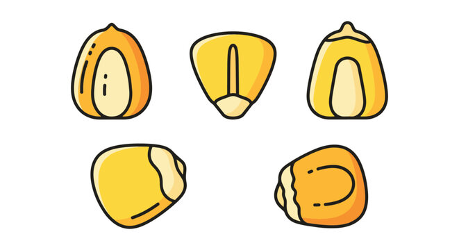 Corn Kernel Line art vector minimal bold abstract illustration