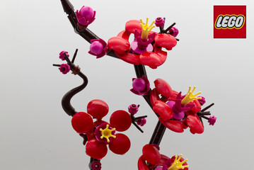 Fototapeta premium Bologna - Italy - March 3, 2026: LEGO Botanicals Plum Blossom.