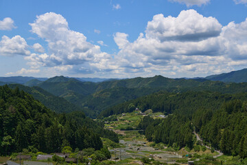 Obraz premium 【四谷千枚田】5月の新緑がまぶしい棚田の風景