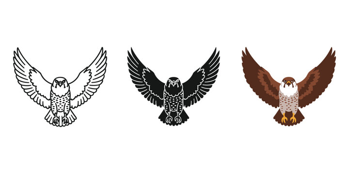 Three illustrations of birds with outstretched wings in different styles