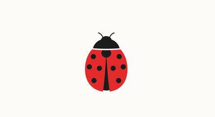 Obraz premium Red ladybug with black spots insect.
