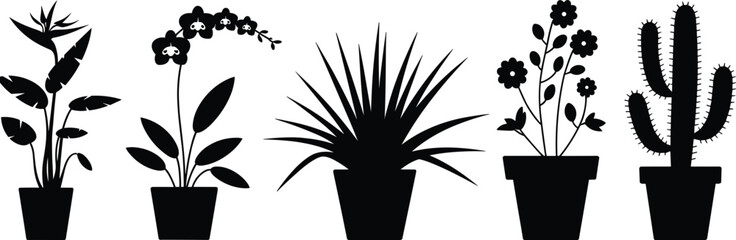 Five Black Silhouettes of Potted Tropical and Desert Plants Keywords: potted plants, houseplants, silhouettes, black and white © MdZabed