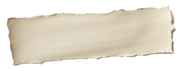 Fototapeta premium Torn Blank Paper Strip Isolated on Background