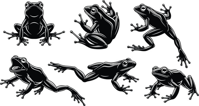 Set of black frog vector silhouettes, multiple poses, jumping tree frog illustration collection, amphibian wildlife design, isolated graphic elements bundle